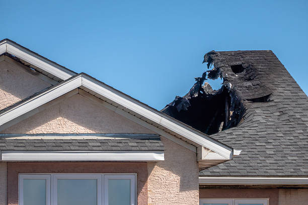 Top rated local Board Up Services specialists in Saint Croix Falls, WI